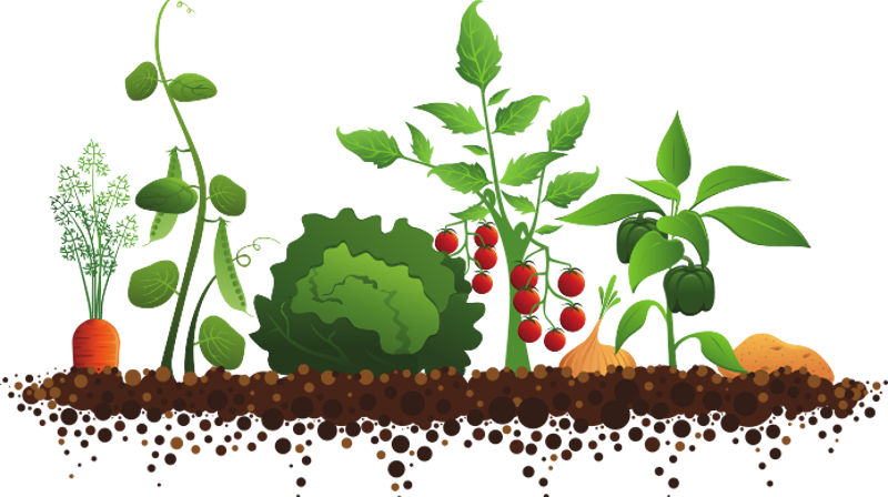 Har du lyst til å bidra til et triveligere uterom rundt Hoeggen kirke?