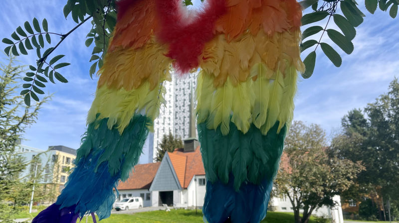 Pride Lerkendal