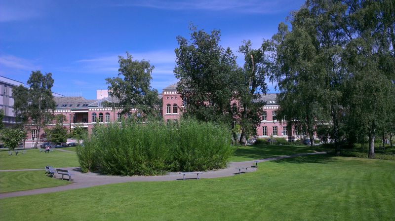 Parkområde ved St. Olavs hospital. Foto: Preste- og samtaletjenesten v. Vansvik