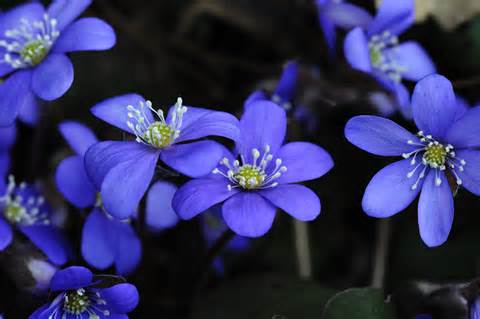 Årets konfirmasjoner