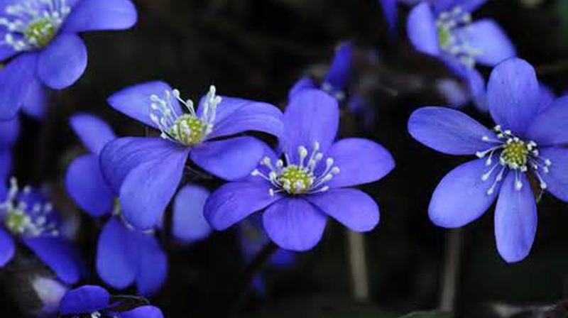 Årets konfirmasjoner