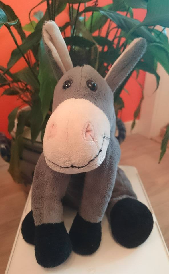 Velkommen til famileigudstjenste i Ranheim kirke palmesøndag. Esel og palmer. Foto: Hanne Moxness