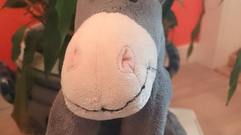 Velkommen til famileigudstjenste i Ranheim kirke palmesøndag. Esel og palmer. Foto: Hanne Moxness