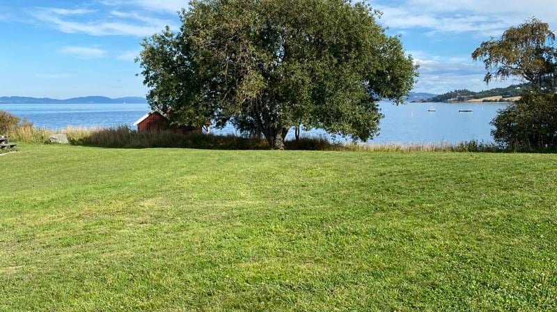 Friluftsgudstjeneste på Skaperverkets dag 30. august