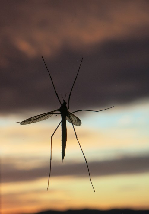 Samtaler om tro og tvil