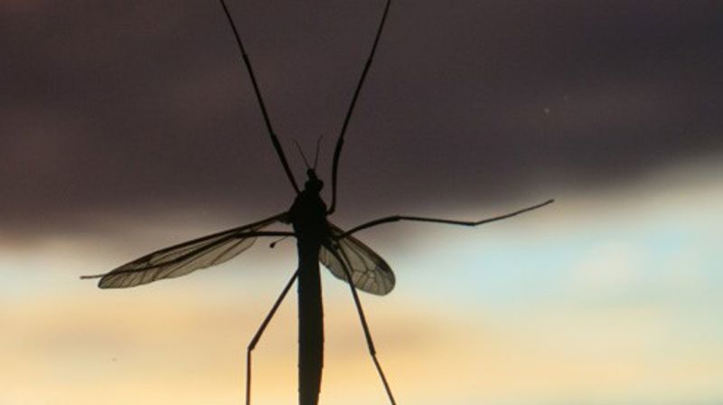 Samtaler om tro og tvil