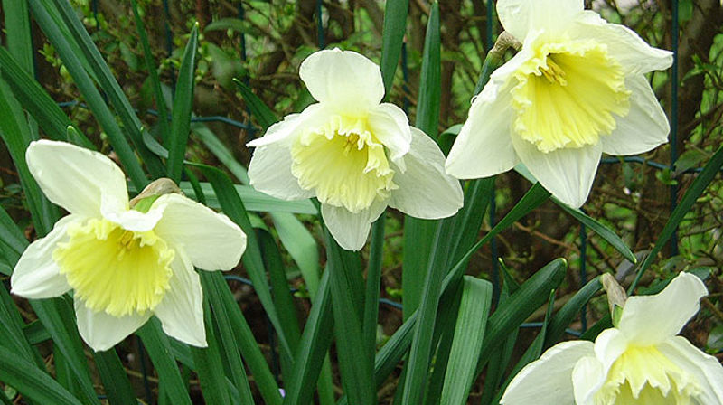 Konfirmant til høsten? Husk påmelding