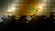 Foto:  Sasin Tipchai - pixabay.com