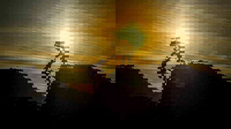 Foto:  Sasin Tipchai - pixabay.com