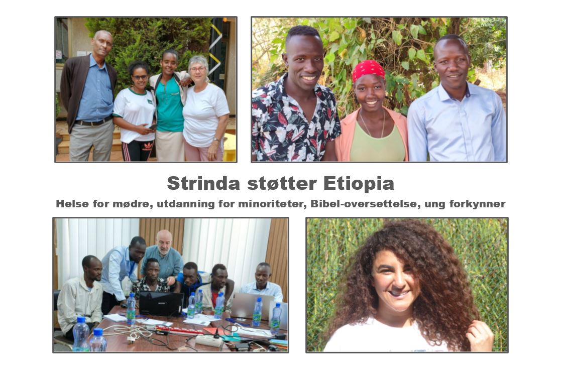 Framgang i NMS-prosjekter i Etiopia