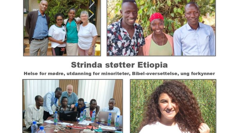 Framgang i NMS-prosjekter i Etiopia