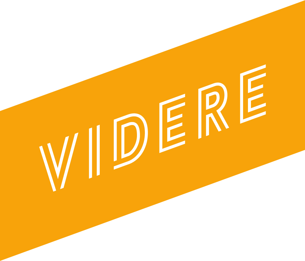 Sommerleiren VIDERE