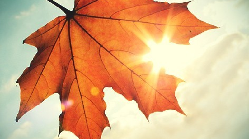 Høsten i ord og toner