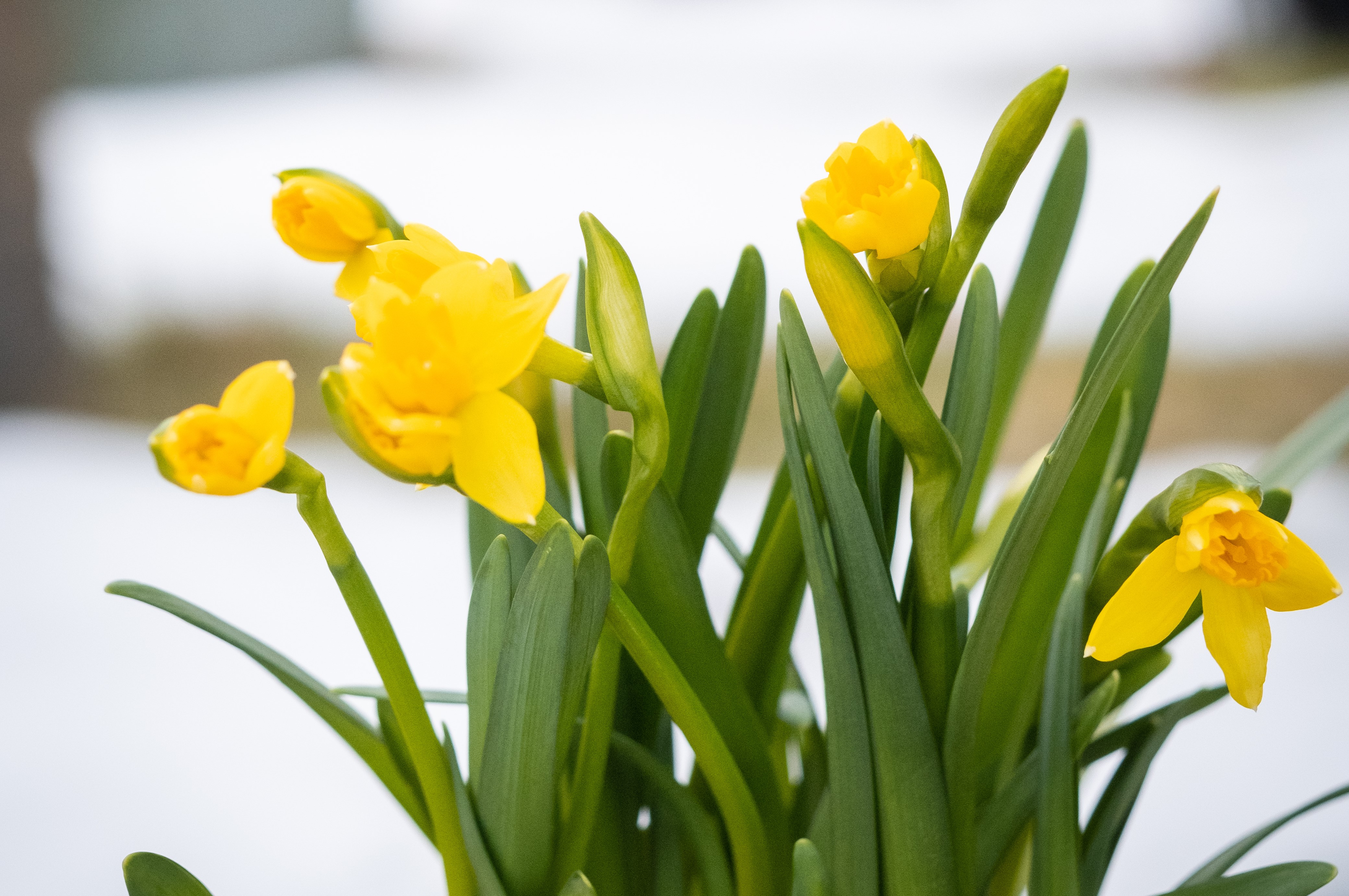 Årsmøte i Strinda menighet søndag 16. april