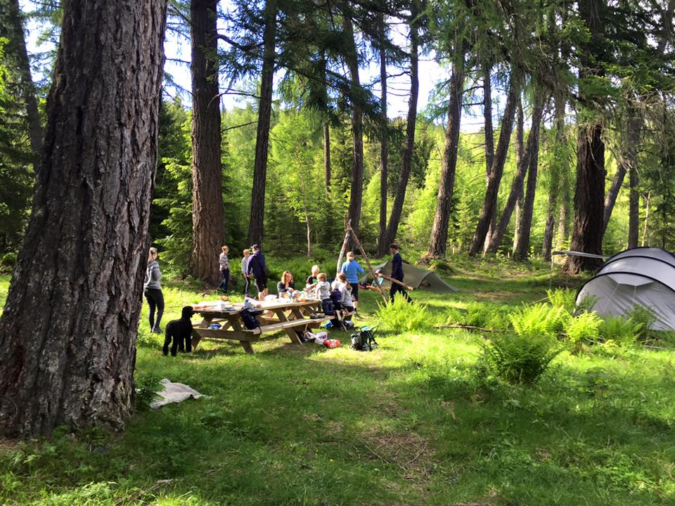 Søndagstur med Sverresborg familiespeiding