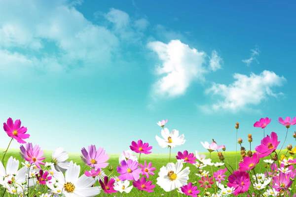 Utegudstjeneste i Korsvika søndag 21. juni kl. 11.00