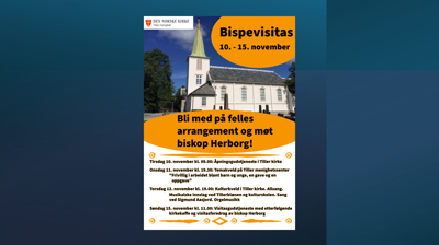 Plakat bispevisitas