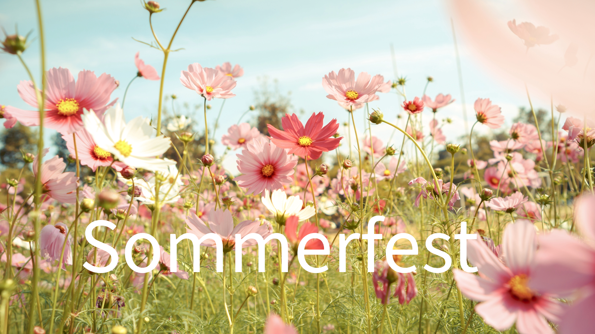 Sommerfest