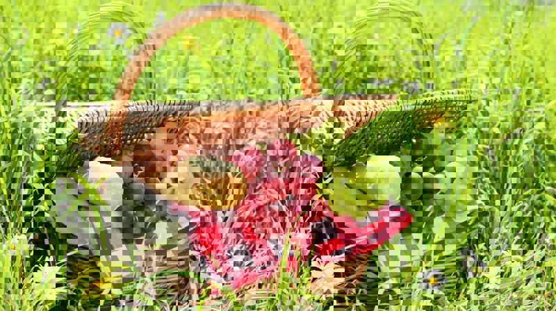 Menighetens sommerfest 15. juni kl. 17.00. Bli med!