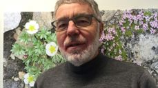 Svein Willy Danielsen, Tiller menighet - nyvalgt leder av Kirkelig fellesråd i Trondheim