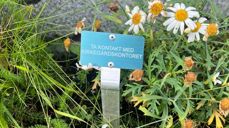 Varslingsmerker på gravplasser, Foto Tysfjord og Hamarøy menighetsråd