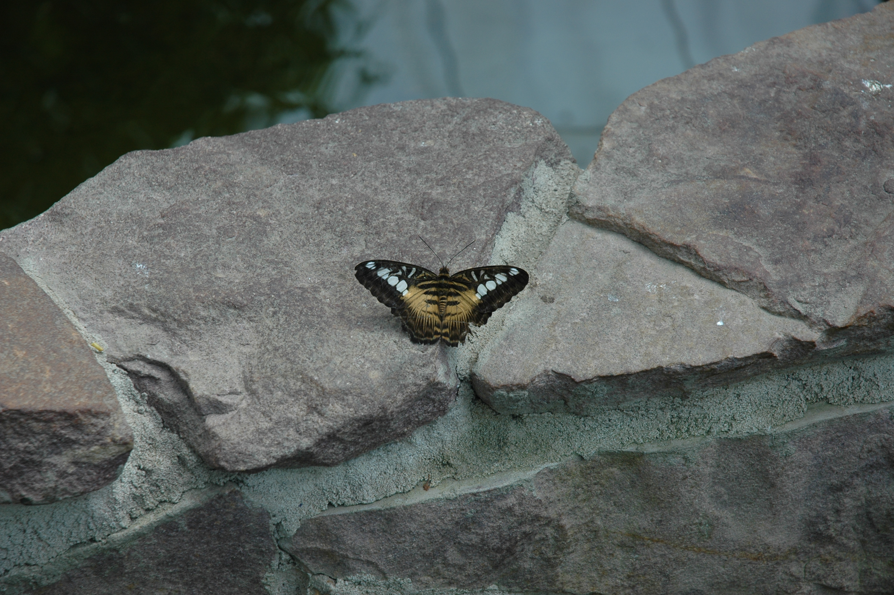 Aktiviteter i Ullensaker menighet i uken som kommer