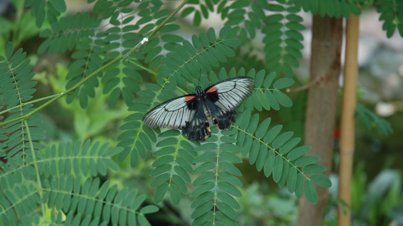 Aktiviteter for perioden 5.-12. mai