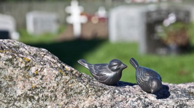Temakveld om tapserfaringer, sorg og håp