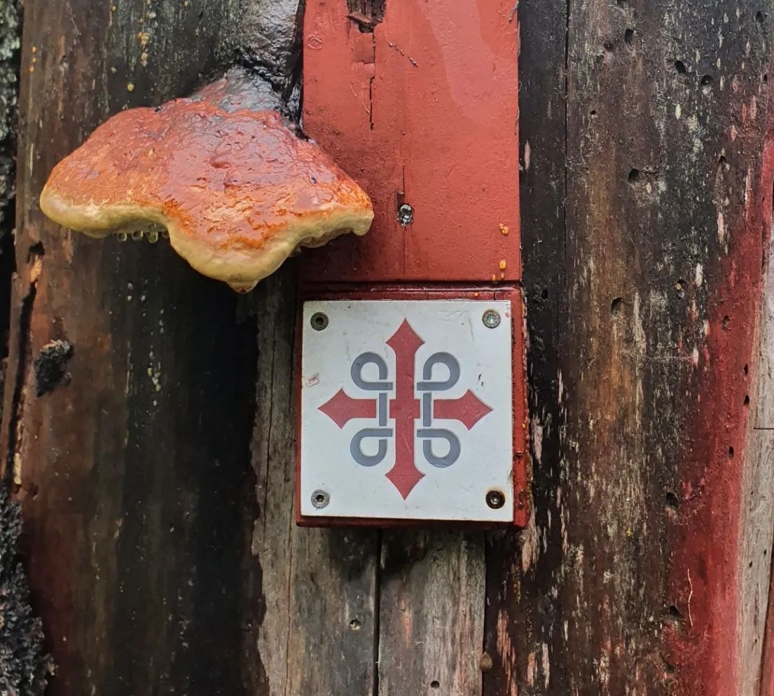 Pilegrimsvandring