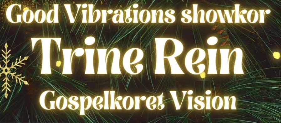 Good Christmas Vibrations