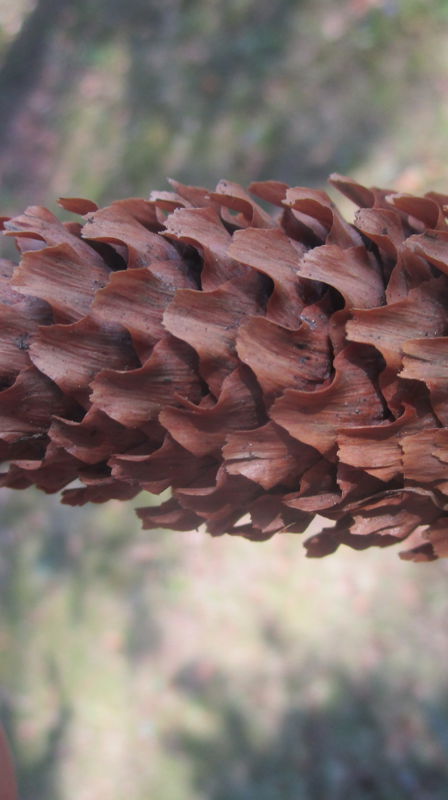 Søndagstanker 2. mai 2021