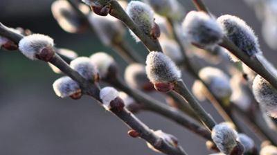 Hyggetreff på Folkvang 18. mars kl 12