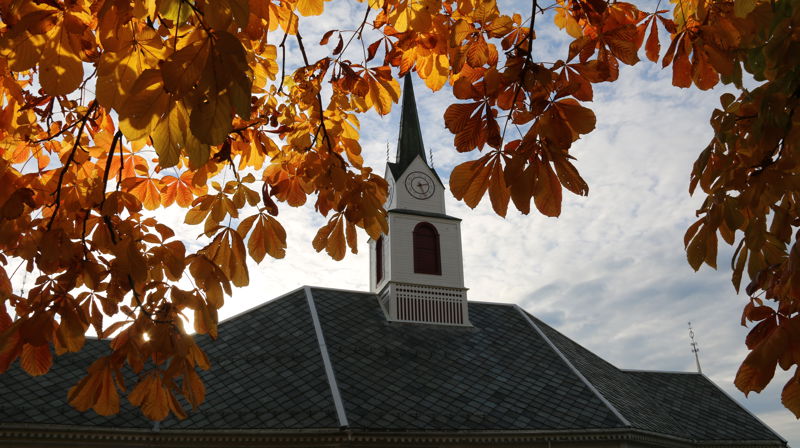 tårn av Ulstein kyrkje gjennom gul kastanielauv