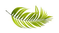 Bildet er tatt av Surut Wattanamaetee (Pixabay)