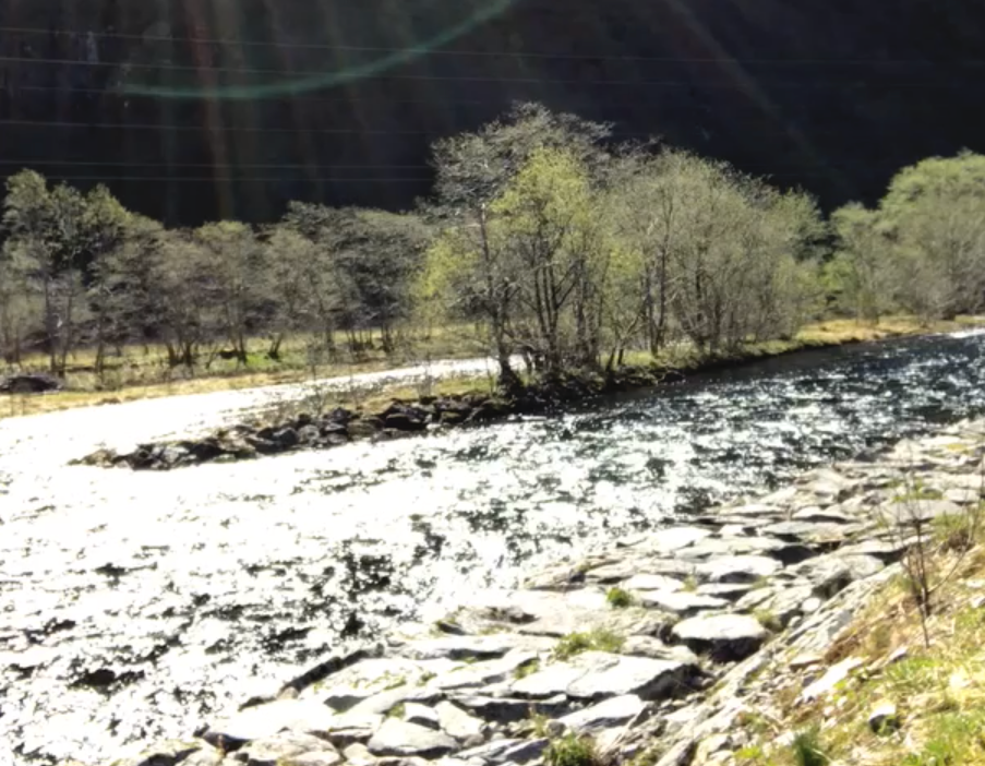 Orgelet som orkester