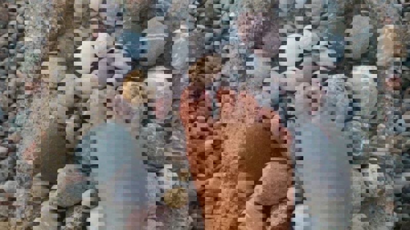 Ord for dagen av Marit Roos Hansen