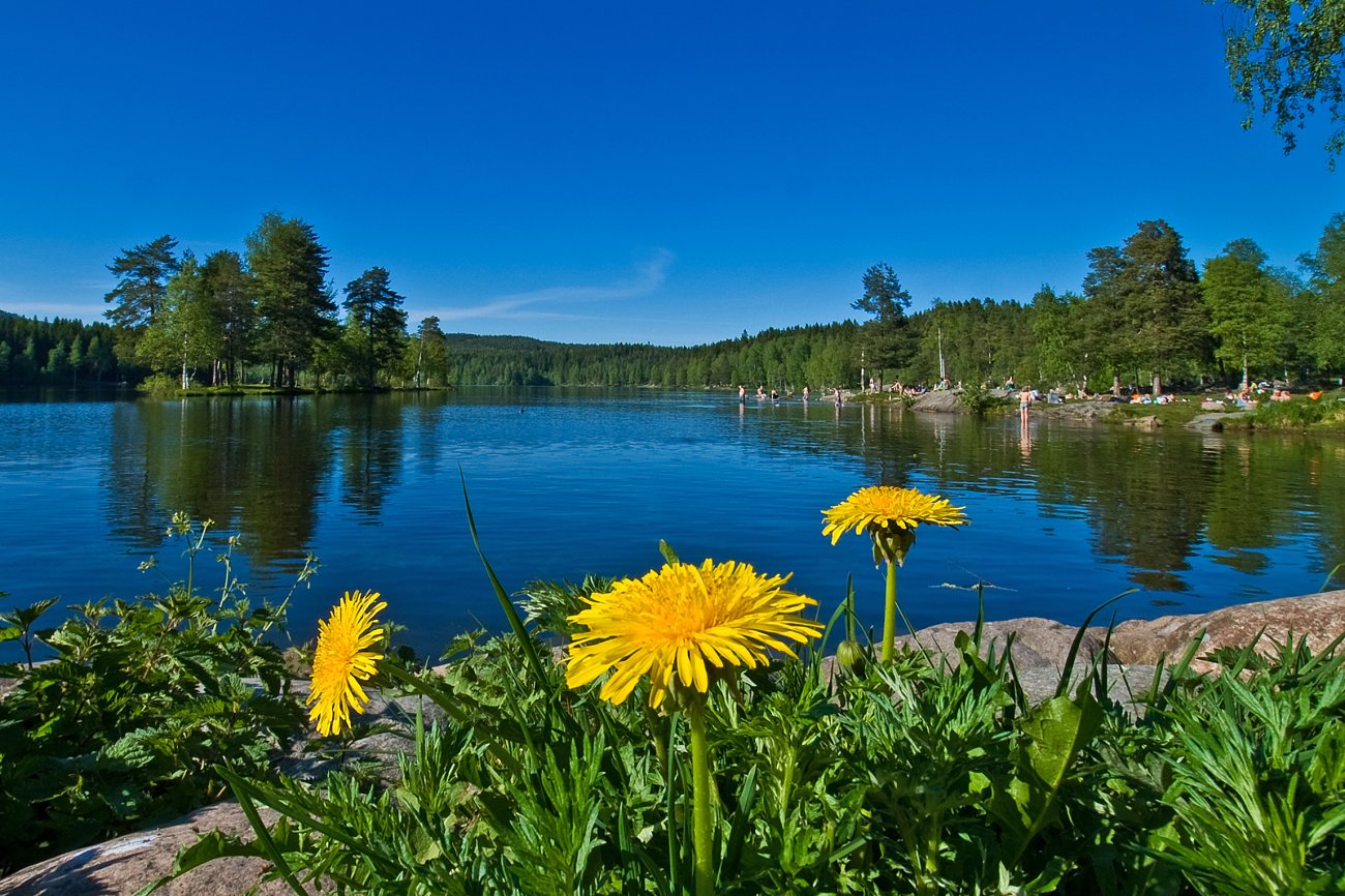 Gudstenester i sommer