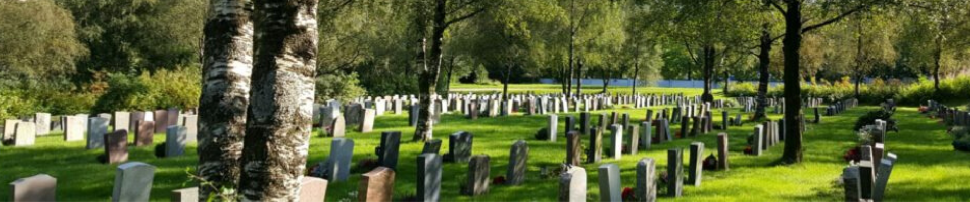 Toppbilde for enheten