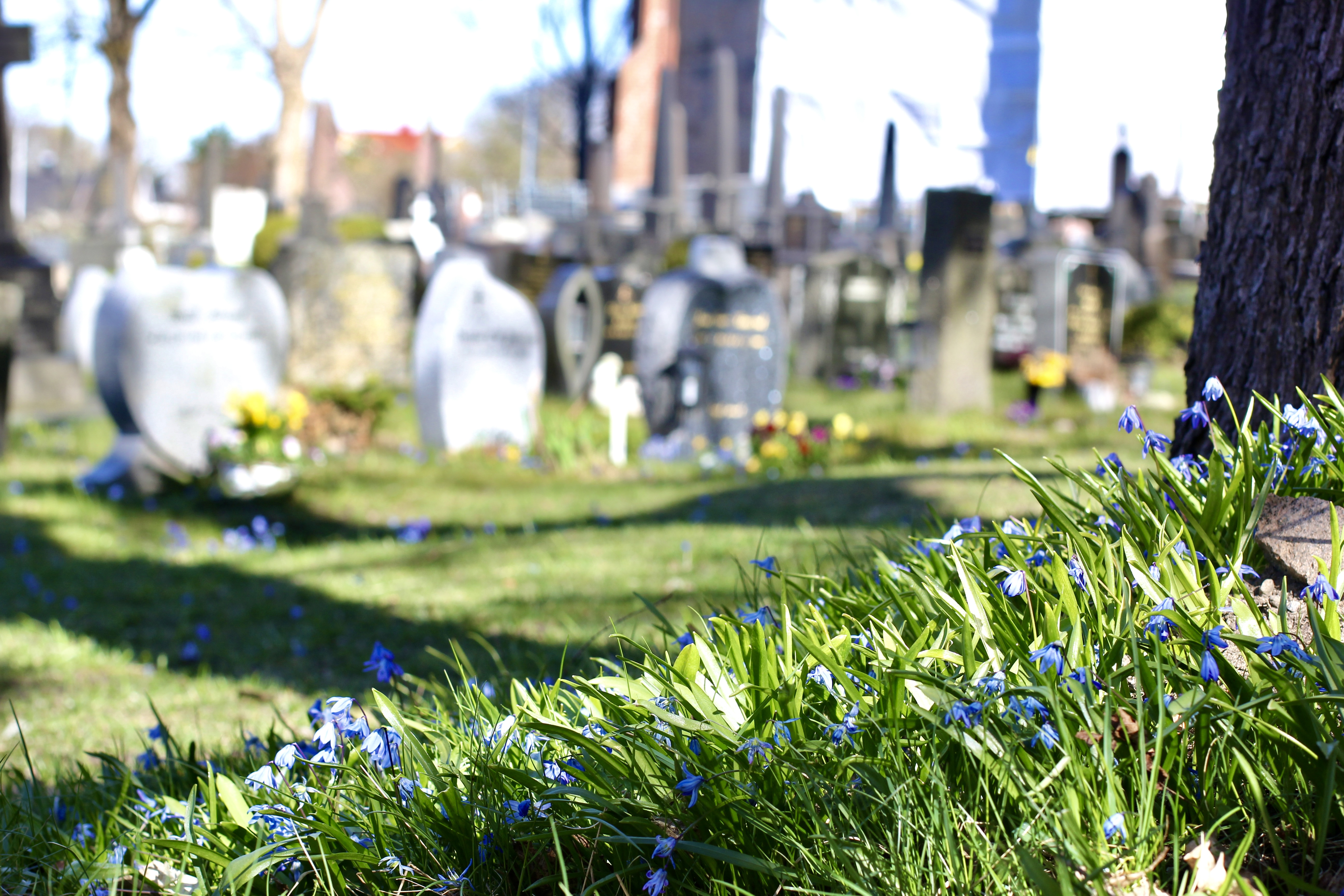 Ny forskrift om gravplassvedtekter