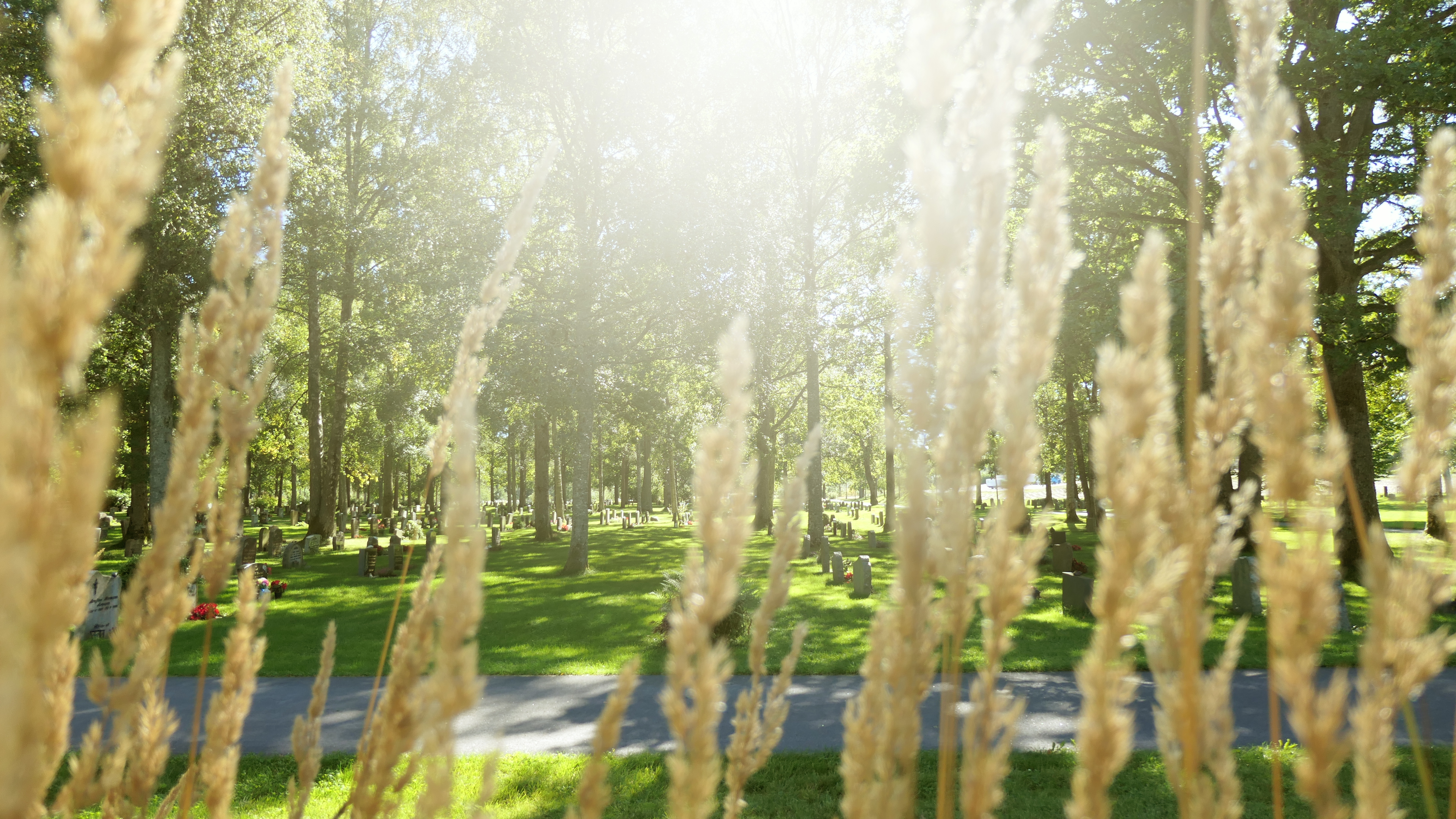 Når en av våre nærmeste dør