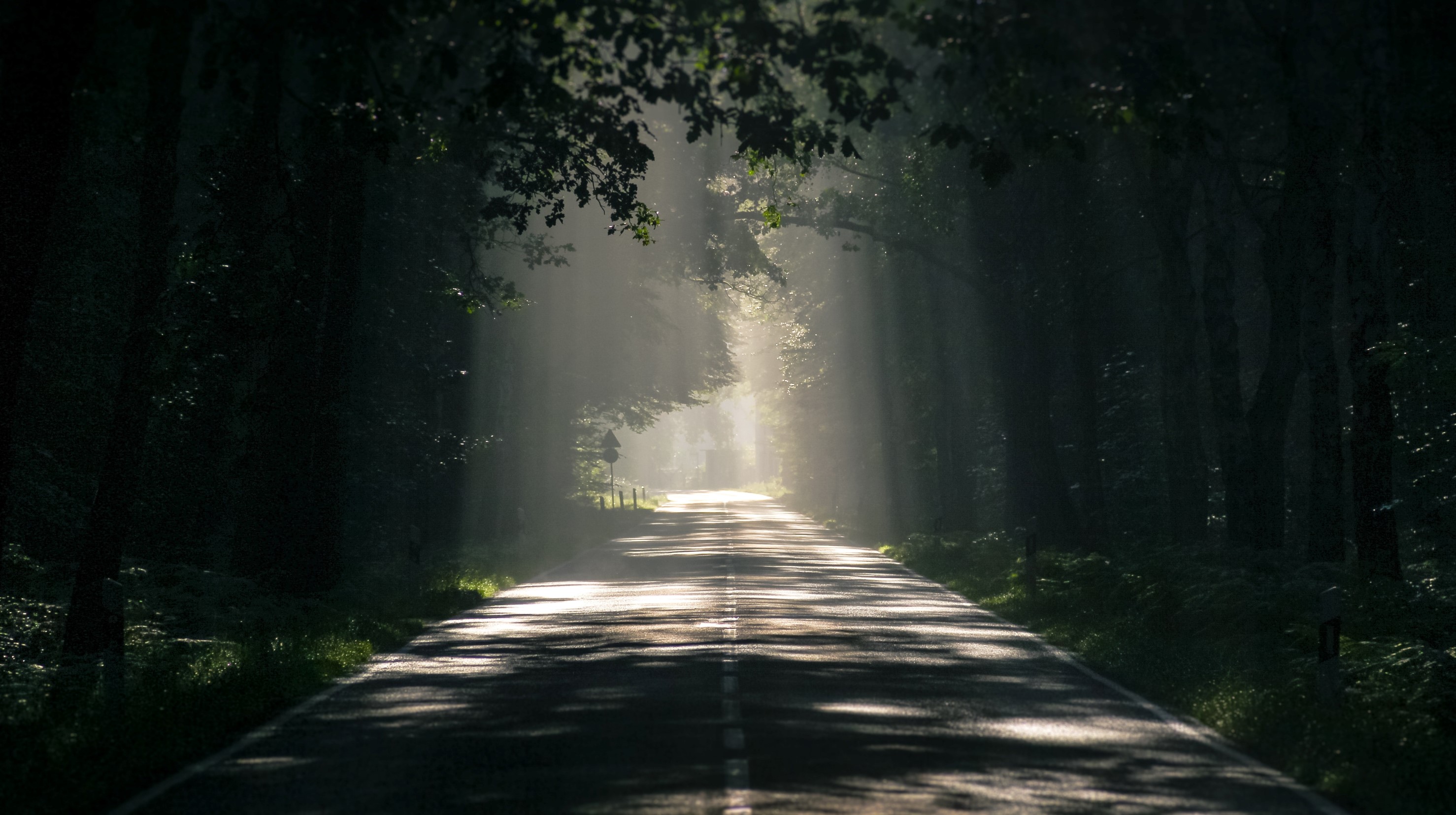 Foto: Pexels.com