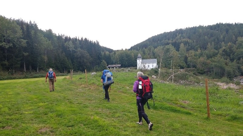 Nokre av pilegrimane nærmar seg Hovin kyrkje i Tinn. (Foto: Agder og Telemark bispedømme)