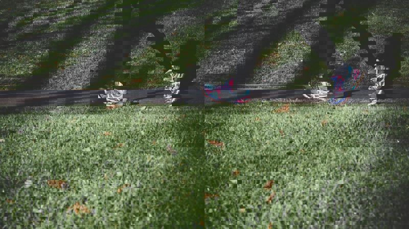 Foto: Arek Adeoye/Unsplash.com