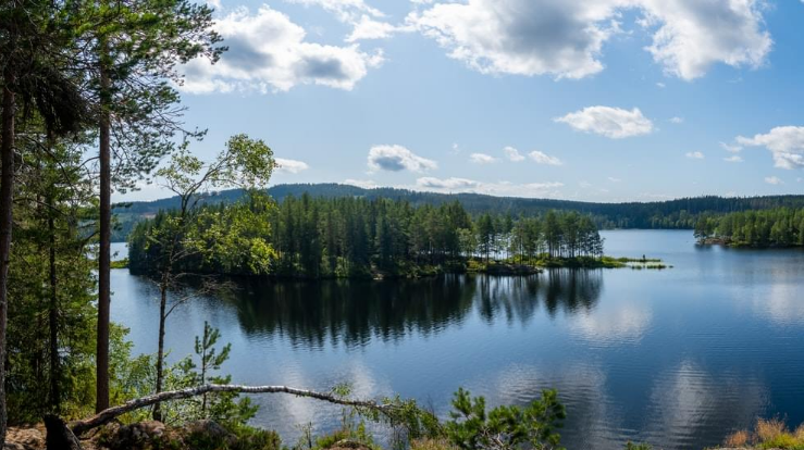 Foto: Kris Mikael Krister