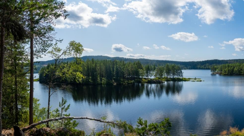 Foto: Kris Mikael Krister