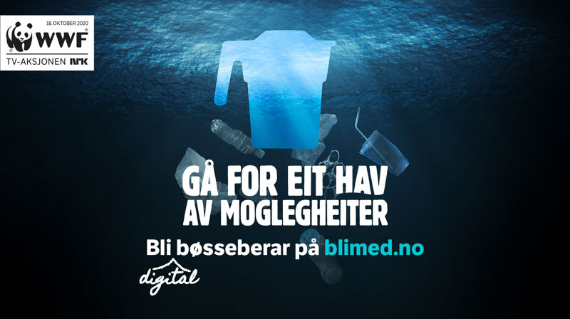 Bli digital bøsseberar!