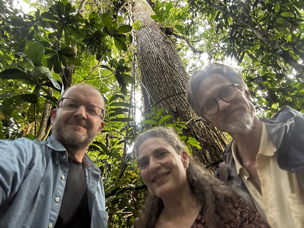 Tjelle, Kjønstad og Beck. 