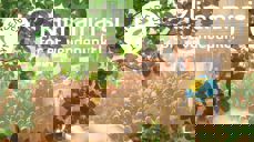 Foto: Monica Løvdahl