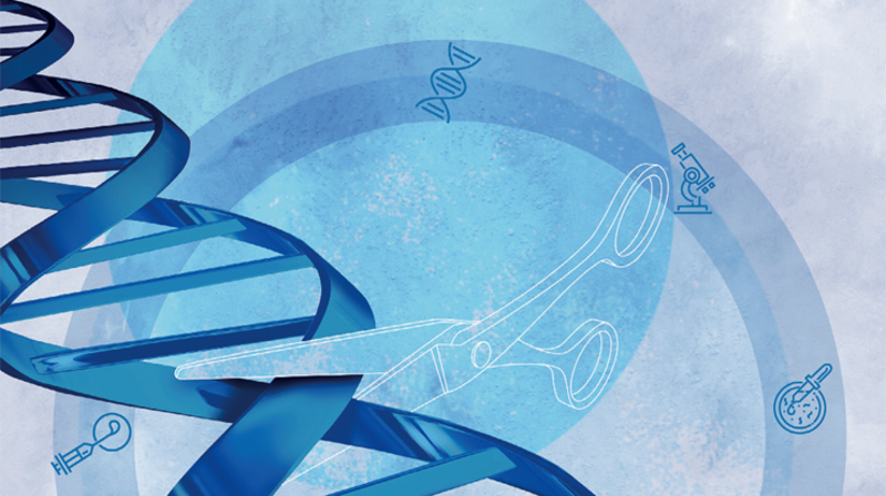 Illustrasjon fra Meld. St. 39 (2016–2017) Evaluering av bioteknologiloven.