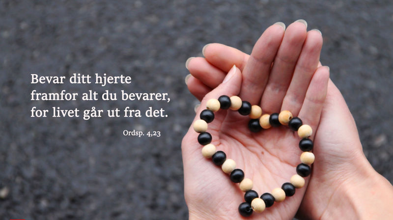 Nestekjærleik